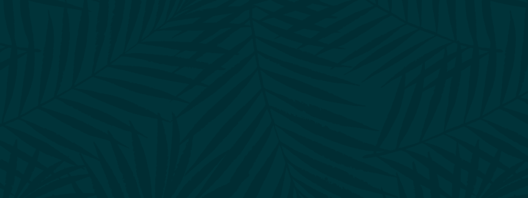 Using 1:1 Connections To Unlock Growth for Financial Institutions